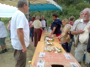 Vignes vins randos 20 13