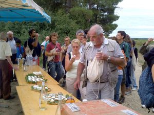 Vignes vins randos 20 13