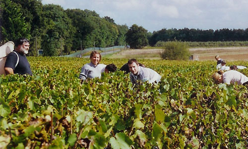 Touraine-Mesland en automne