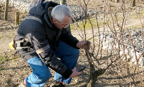 Touraine-Mesland en hiver